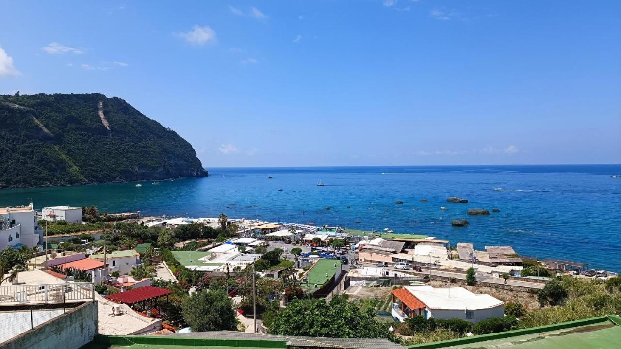 La Dea Del Mare Leilighet Forio di Ischia Eksteriør bilde