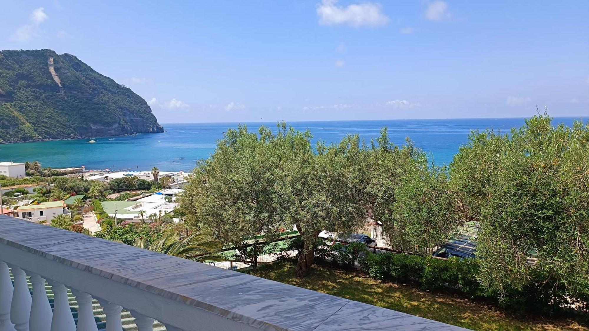 La Dea Del Mare Leilighet Forio di Ischia Eksteriør bilde